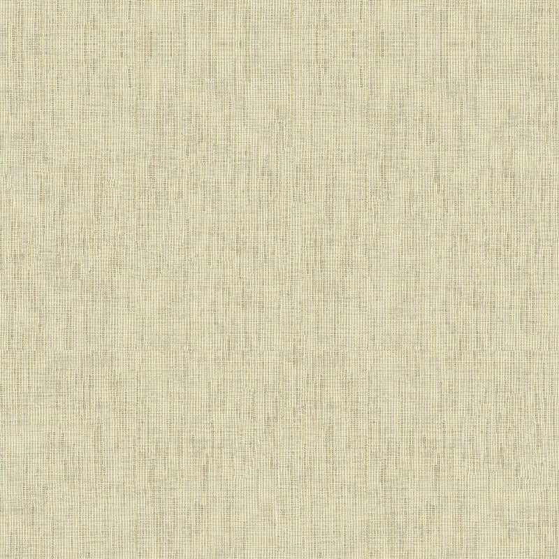 Sample 4218.1611.0 Silver Drapery Metallic Fabric by Kravet Design