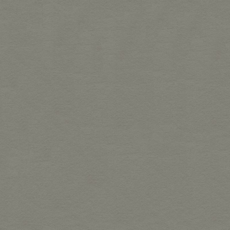 Sample 34205.1121.0 Light Grey Upholstery Solids Plain Cloth Fabric by Kravet Design