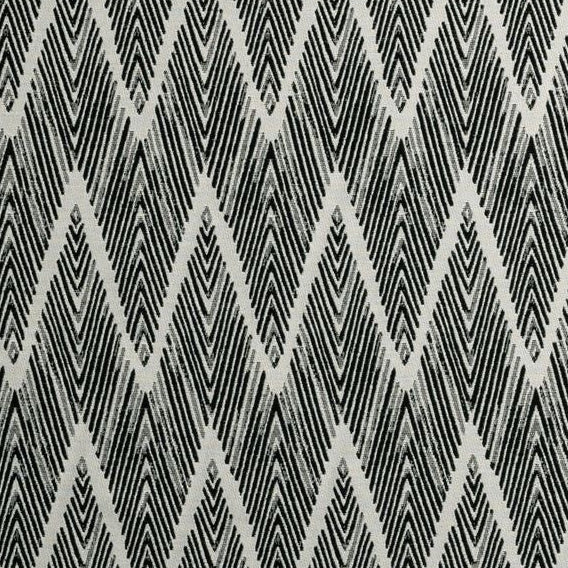 Sample F0895-01 Bw1022 Black/White Clarke And Clarke Fabric