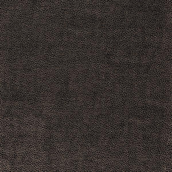 Sample - Sparta.811.0 | Kravet Design,  - Kravet Design Fabric