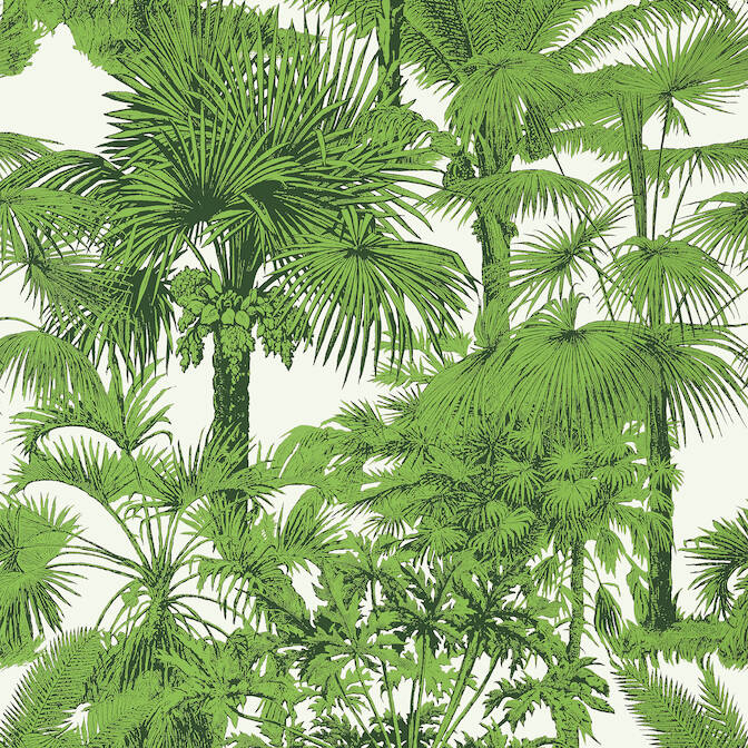 Shop T10103 Palm Botanical Tropics Thibaut Wallpaper