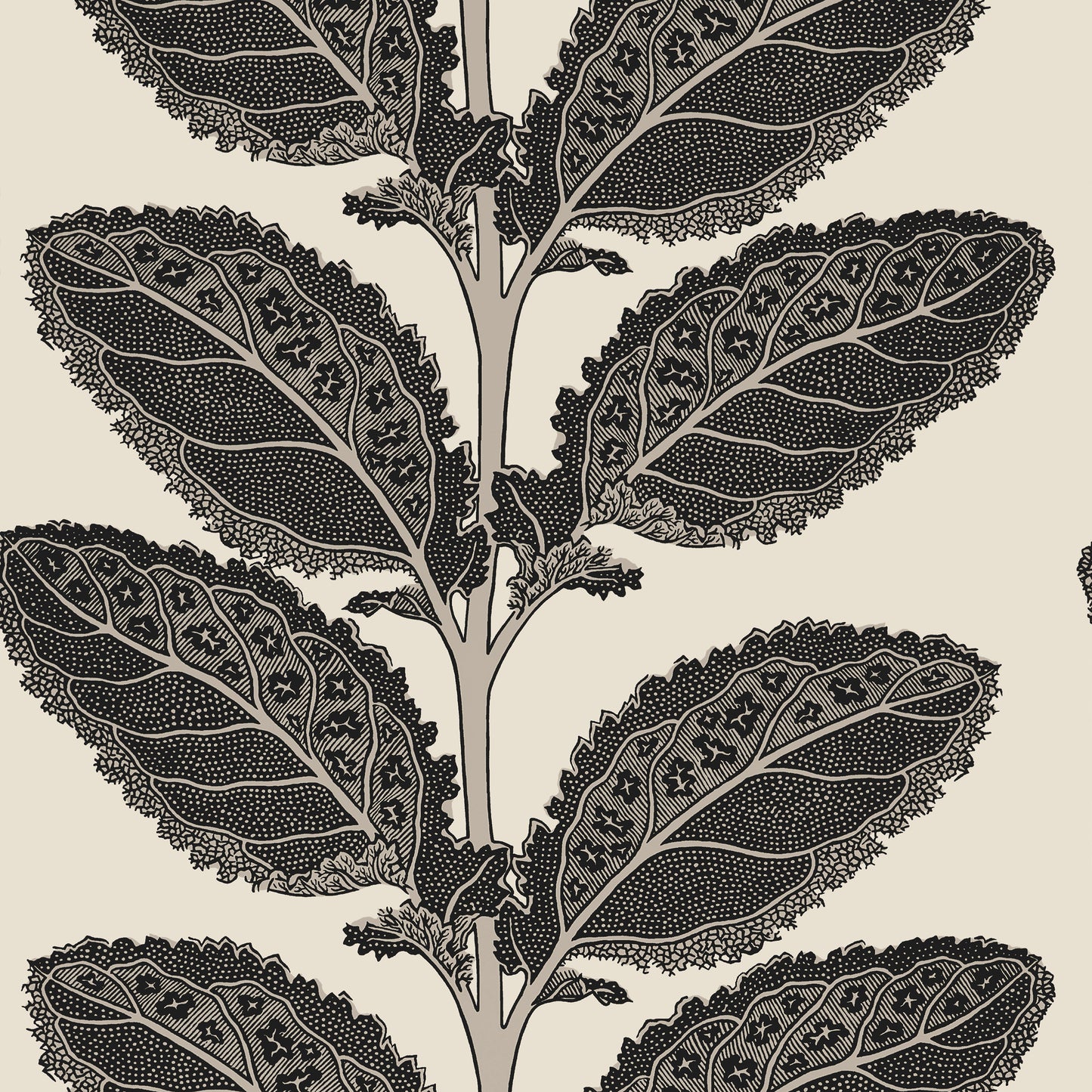 View Thibaut Wallpaper Sku# T12038 Pattern Name Lacinato From The Collection Vista. 