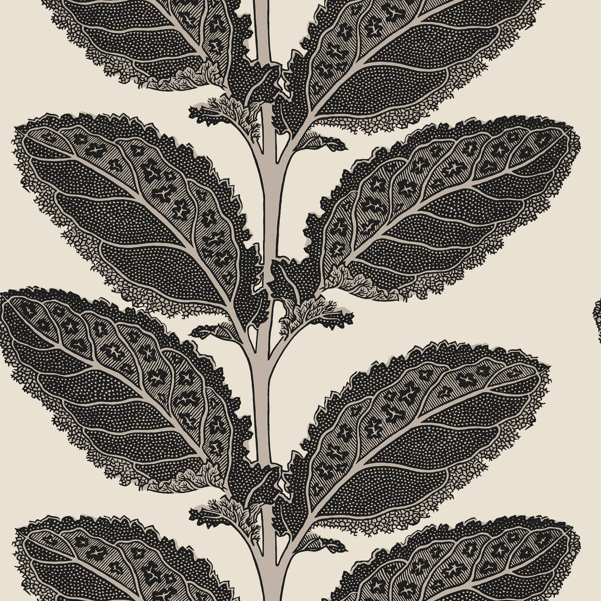 View Thibaut Wallpaper Sku# T12038 Pattern Name Lacinato From The Collection Vista. 