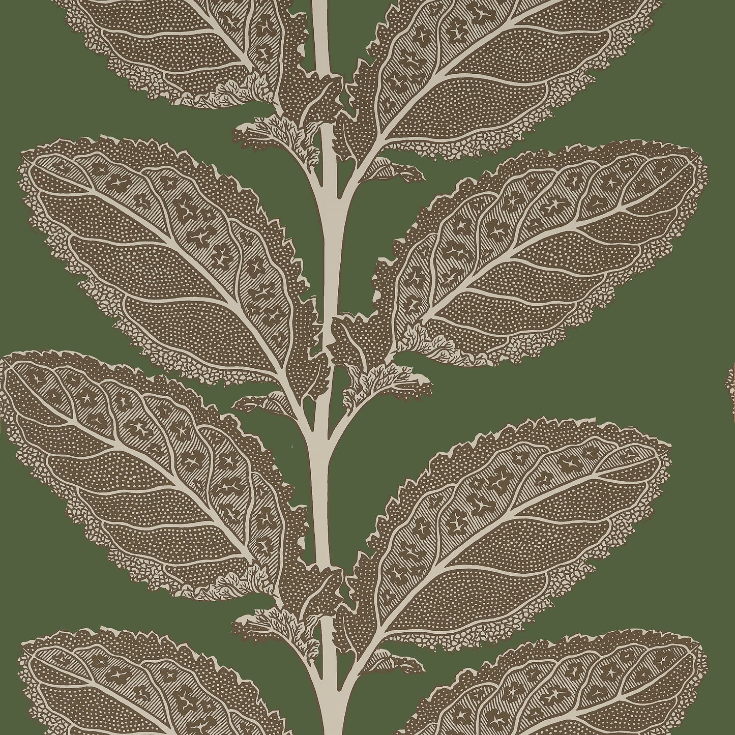 Find Thibaut Wallpaper Pattern Number T12040 Pattern Name Lacinato From The Collection Vista. 