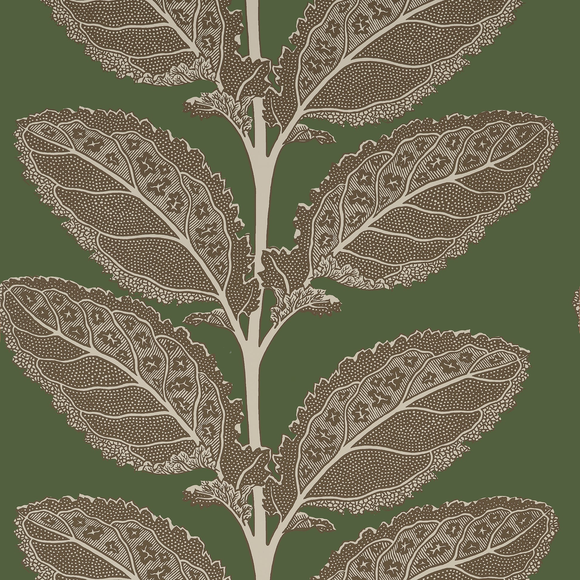 Find Thibaut Wallpaper Pattern Number T12040 Pattern Name Lacinato From The Collection Vista. 