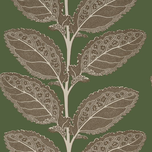 Find Thibaut Wallpaper Pattern Number T12040 Pattern Name Lacinato From The Collection Vista. 