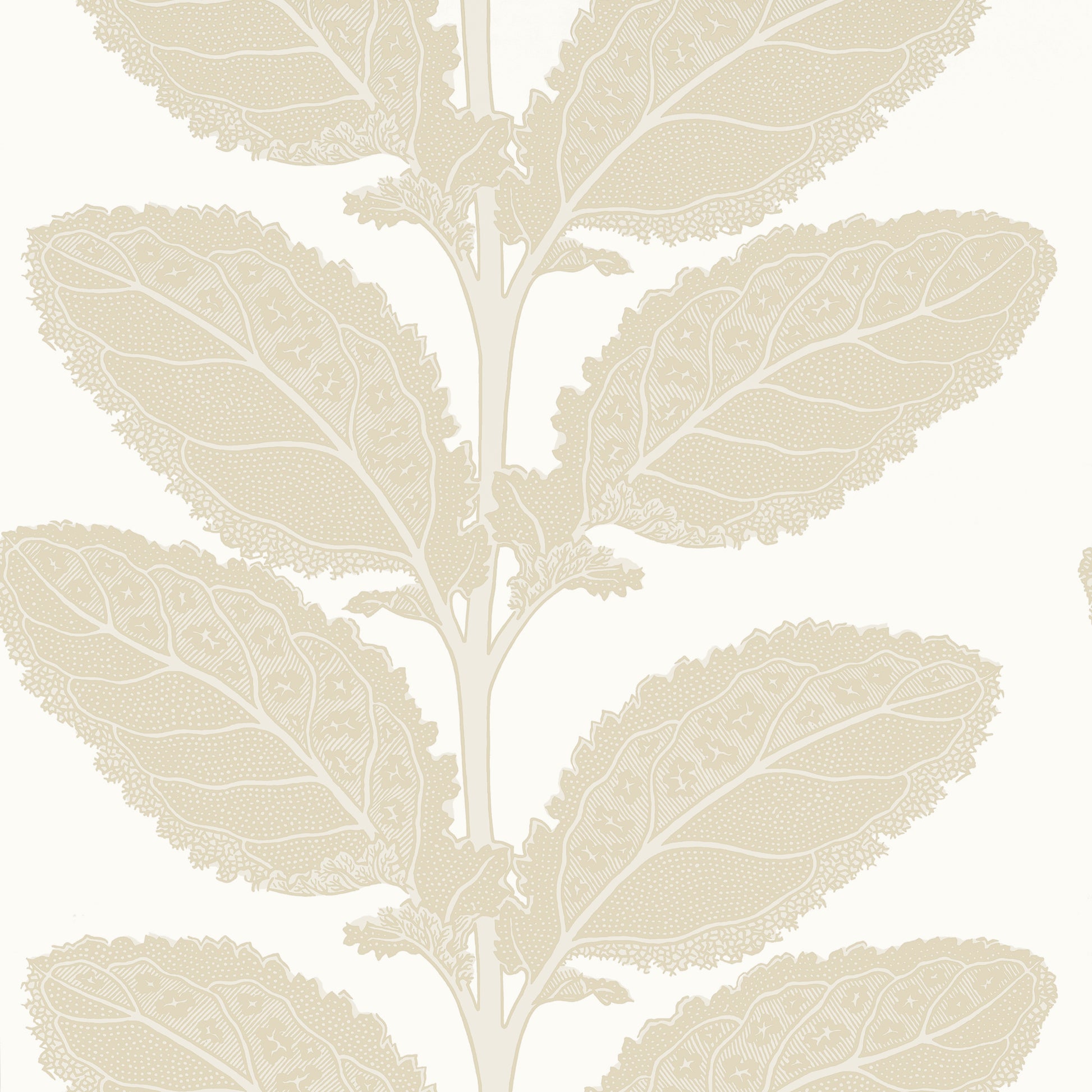 Order Thibaut Wallpaper Item T12041 Pattern Name Lacinato From The Collection Vista. 