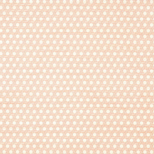 Purchase  T12812 PERGOLA, Modern Resource 3 by Thibaut Wallpaper