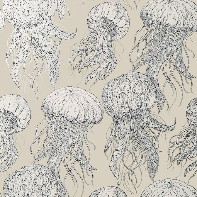 Find T13169 Jelly Fish Bloom Summer House Thibaut Wallpaper