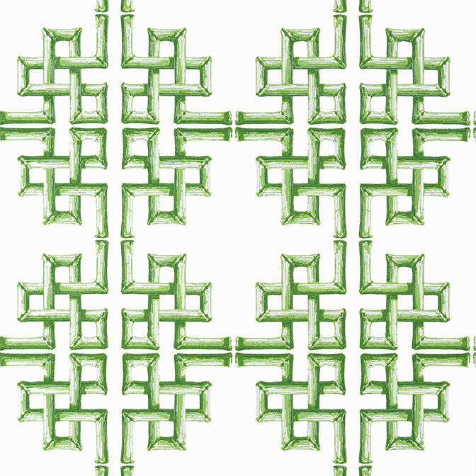 Purchase  T13900 BOCA BAMBOO, Palm Grove by Thibaut Wallpaper