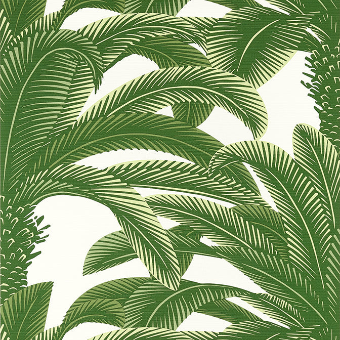 Purchase a sample of T13907 Queen Palm, Palm Grove by Thibaut Wallpaper