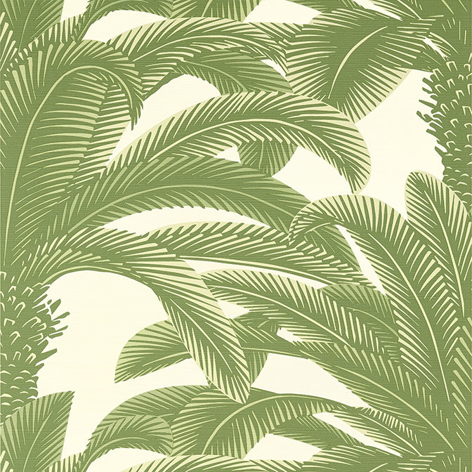 Purchase a sample of T13911 Queen Palm, Palm Grove by Thibaut Wallpaper