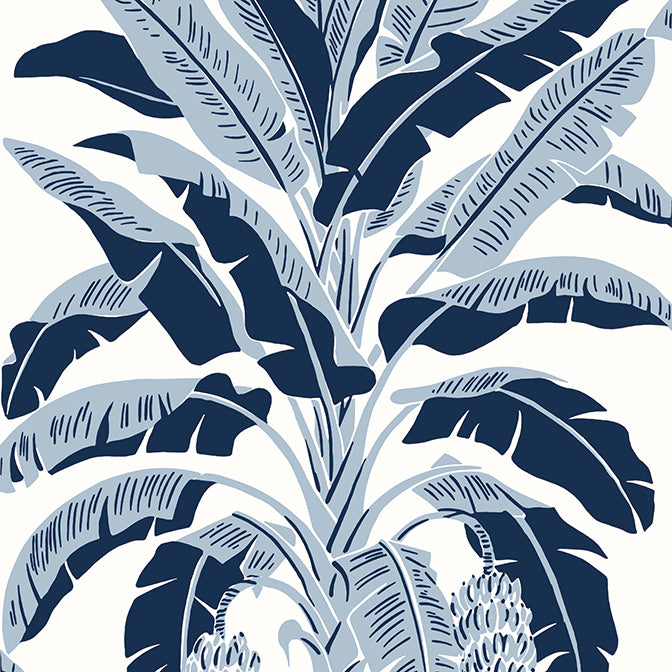 Purchase a sample of T13915 Banana Tree, Palm Grove by Thibaut Wallpaper