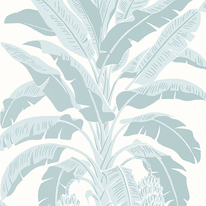 Purchase a sample of T13916 Banana Tree, Palm Grove by Thibaut Wallpaper