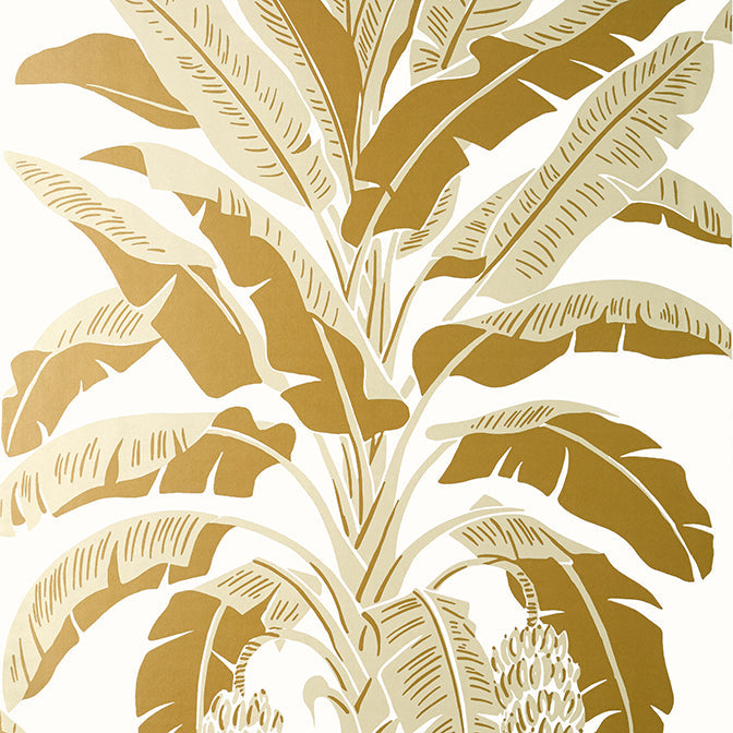 Purchase a sample of T13919 Banana Tree, Palm Grove by Thibaut Wallpaper