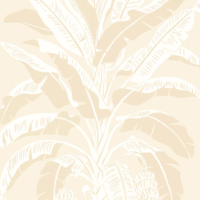 Purchase a sample of T13920 Banana Tree, Palm Grove by Thibaut Wallpaper
