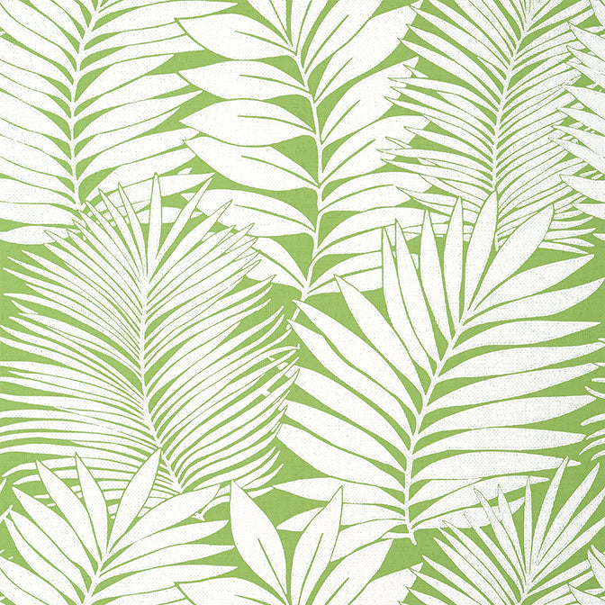 Purchase a sample of T13927 Siesta Key, Palm Grove by Thibaut Wallpaper