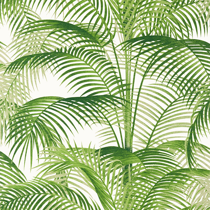 Purchase  T13938 DELRAY, Palm Grove by Thibaut Wallpaper