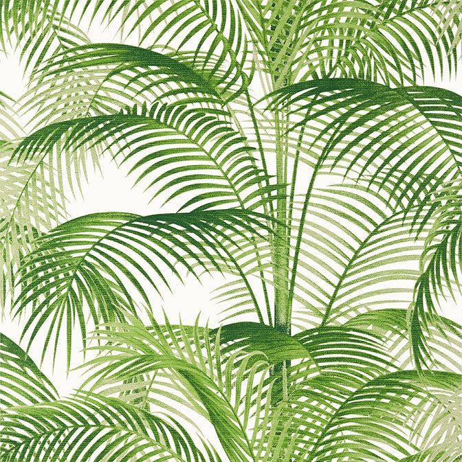 Purchase a sample of T13938 Delray, Palm Grove by Thibaut Wallpaper