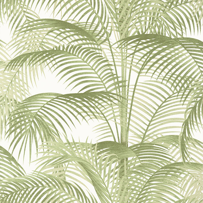 Purchase a sample of T13939 Delray, Palm Grove by Thibaut Wallpaper