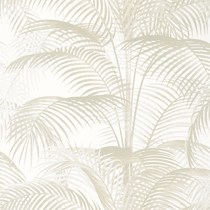 Purchase a sample of T13941 Delray, Palm Grove by Thibaut Wallpaper