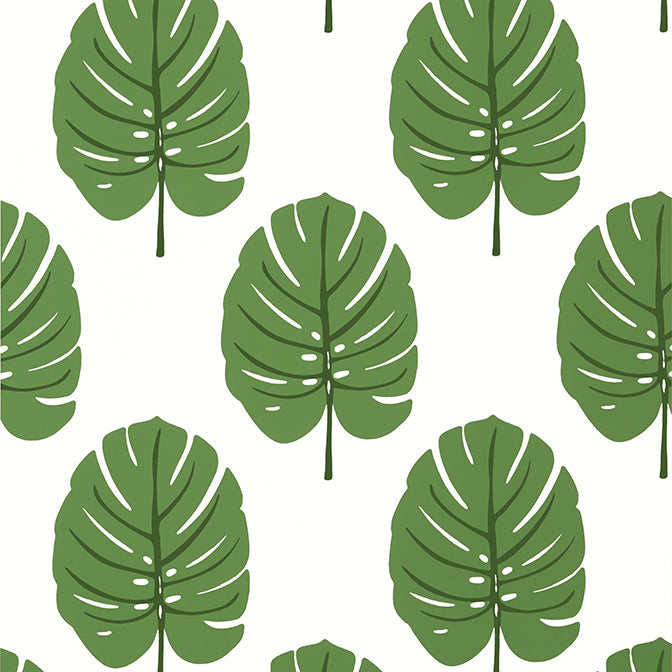 Purchase a sample of T13952 Monstera, Palm Grove by Thibaut Wallpaper