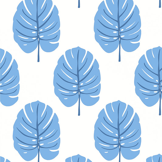 Purchase  T13953 MONSTERA, Palm Grove by Thibaut Wallpaper