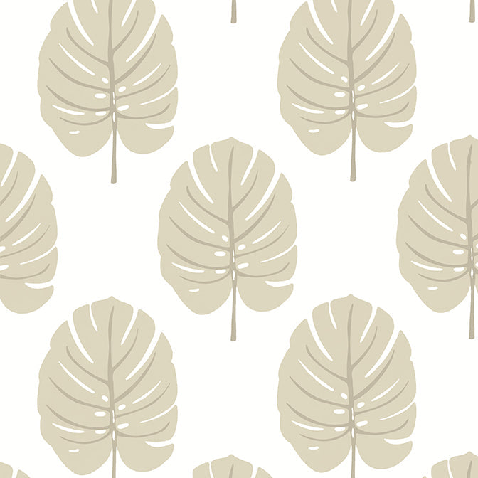 Purchase a sample of T13956 Monstera, Palm Grove by Thibaut Wallpaper