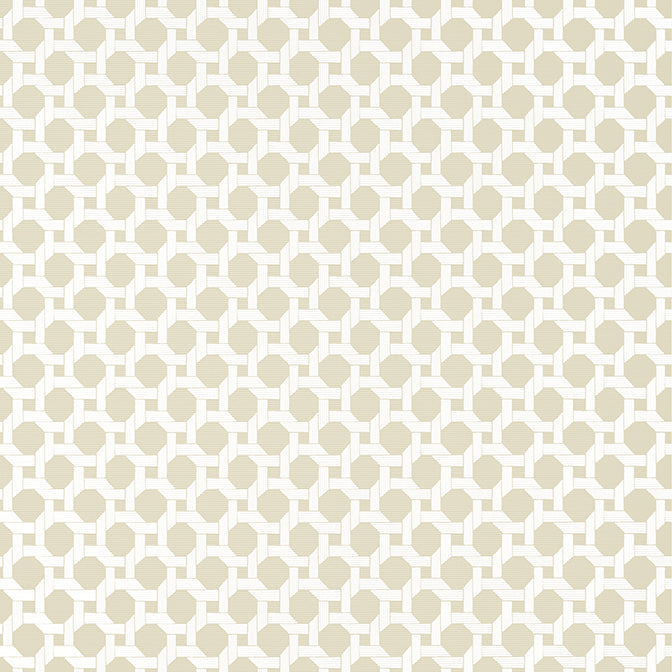Purchase a sample of T13961 Charter, Palm Grove by Thibaut Wallpaper