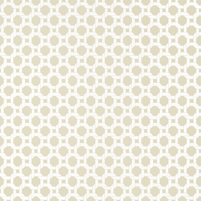 Purchase  T13961 CHARTER, Palm Grove by Thibaut Wallpaper