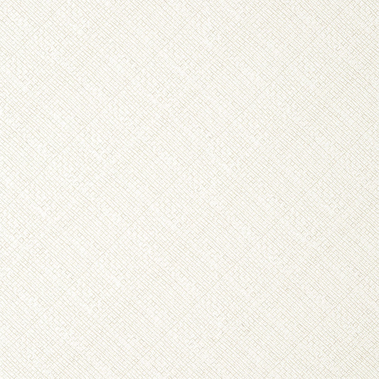 Purchase  T14500 JACKSON WEAVE, Texture Resource 8 by Thibaut Wallpaper