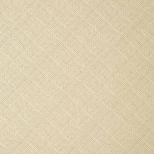 Purchase  T14503 JACKSON WEAVE, Texture Resource 8 by Thibaut Wallpaper