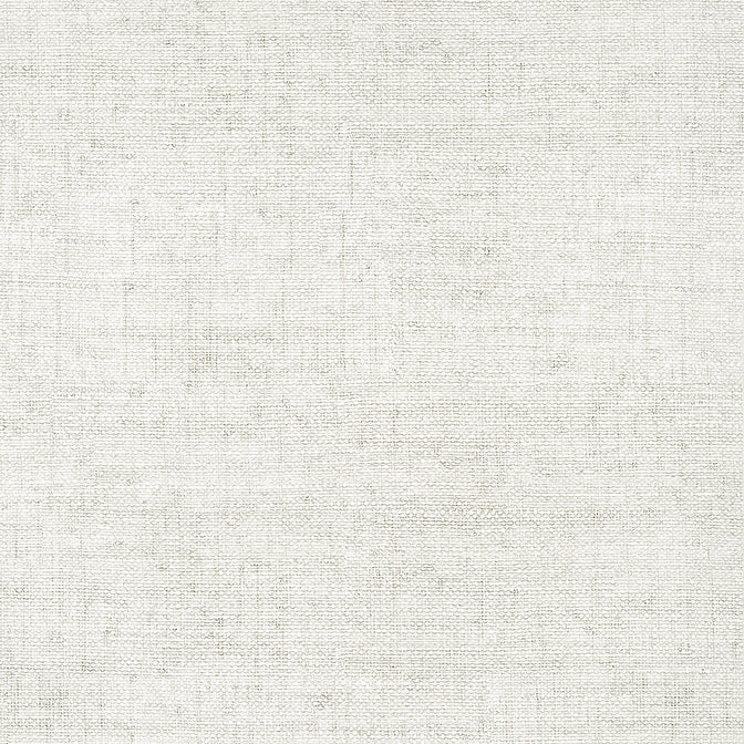 Purchase a sample of T14509 Bankun Raffia, Texture Resource 8 by Thibaut Wallpaper