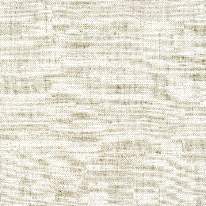 Purchase  T14510 BANKUN RAFFIA, Texture Resource 8 by Thibaut Wallpaper