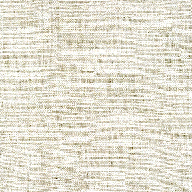 Purchase a sample of T14510 Bankun Raffia, Texture Resource 8 by Thibaut Wallpaper