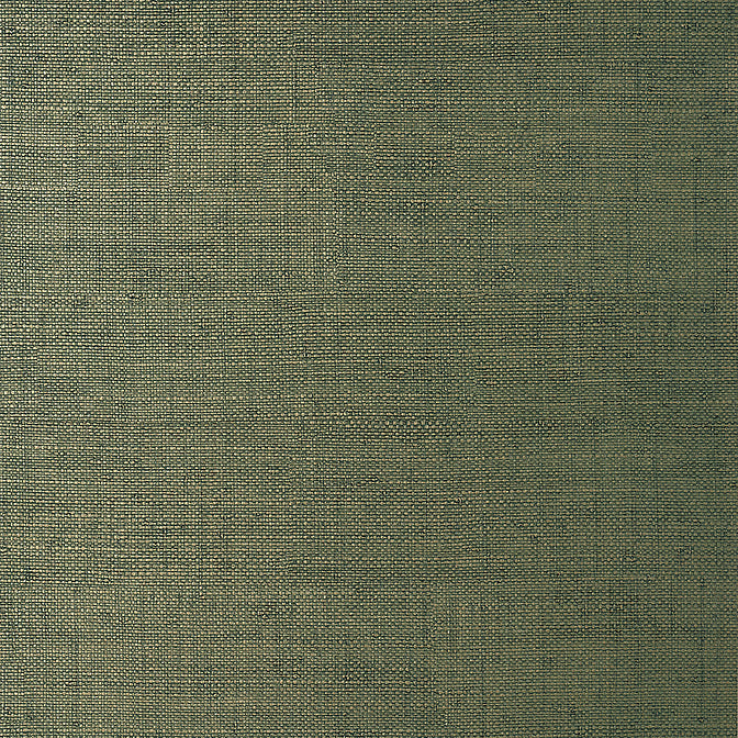 Purchase a sample of T14513 Bankun Raffia, Texture Resource 8 by Thibaut Wallpaper