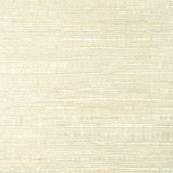 Purchase  T14523 LUTA SISAL, Texture Resource 8 by Thibaut Wallpaper