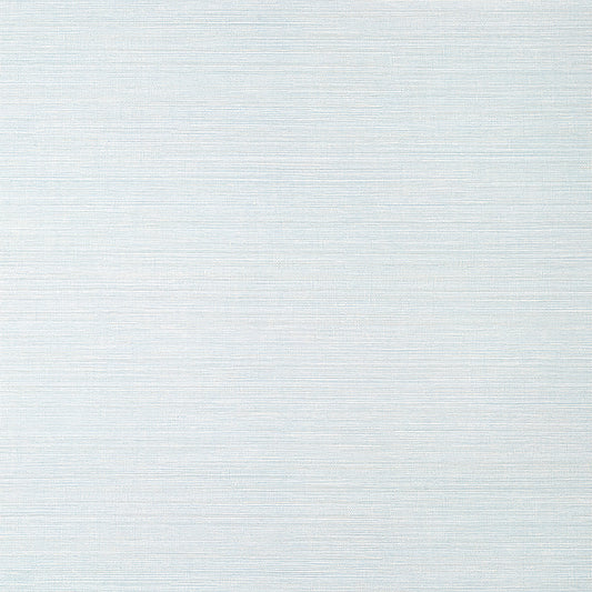 Purchase  T14527 LUTA SISAL, Texture Resource 8 by Thibaut Wallpaper