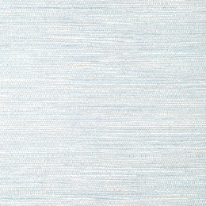 Purchase a sample of T14527 Luta Sisal, Texture Resource 8 by Thibaut Wallpaper