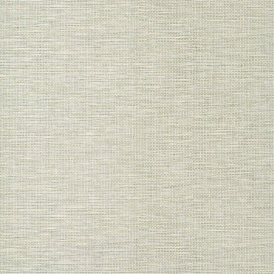 Purchase  T14563 SPIRO, Texture Resource 8 by Thibaut Wallpaper