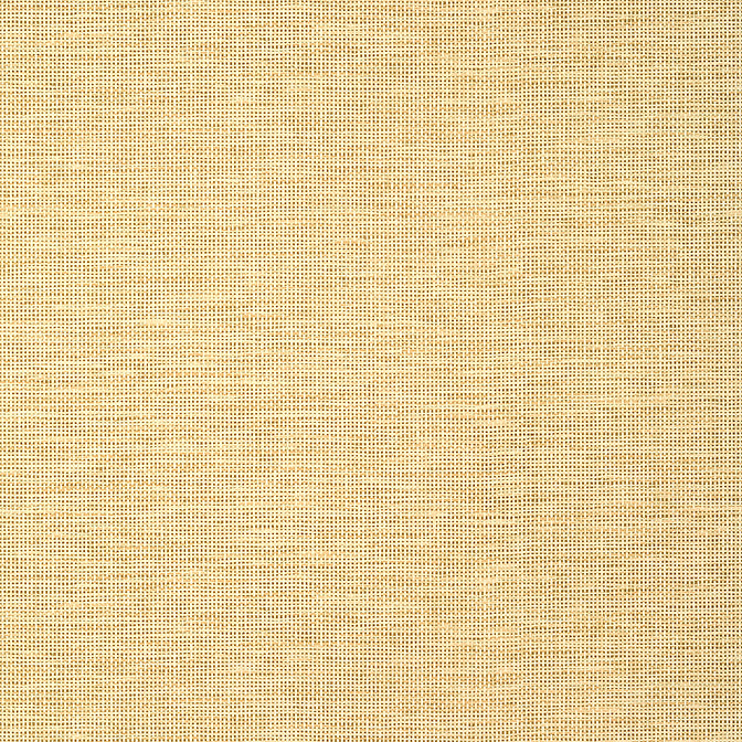 Purchase a sample of T14564 Spiro, Texture Resource 8 by Thibaut Wallpaper