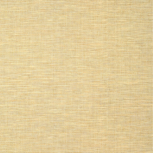 Purchase  T14564 SPIRO, Texture Resource 8 by Thibaut Wallpaper