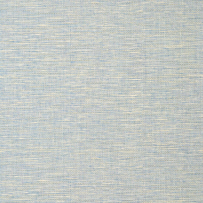 Purchase a sample of T14586 Spiro, Texture Resource 8 by Thibaut Wallpaper