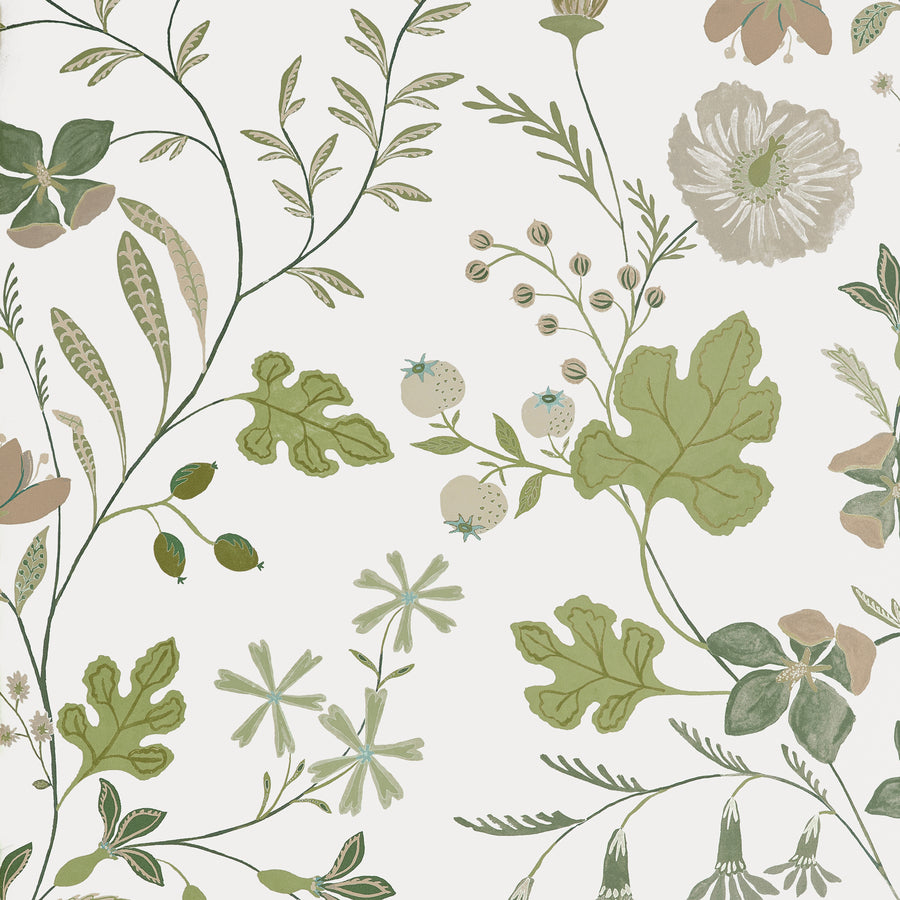 Save on Thibaut Wallpaper Pattern number T14625 pattern name Bloom color name Sage.