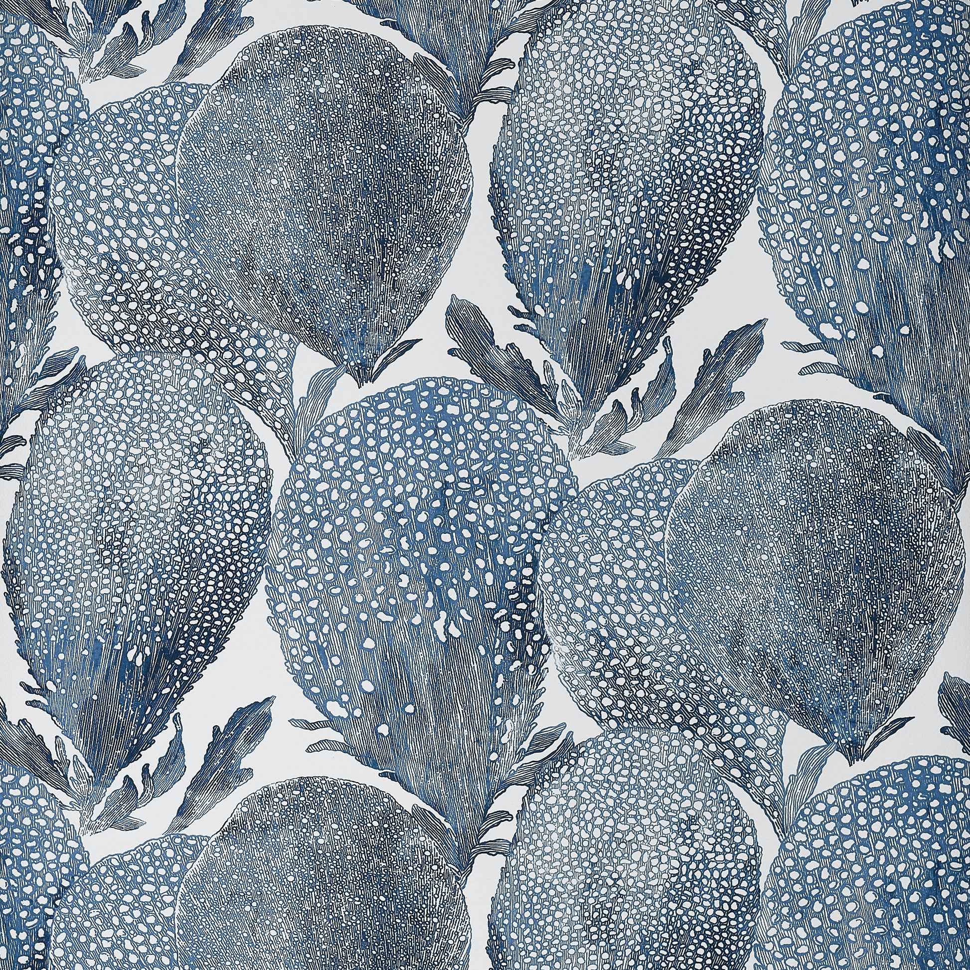 Find Thibaut Wallpaper Pattern# T15824 Pattern Name Under The Sea From The Collection Islander. 