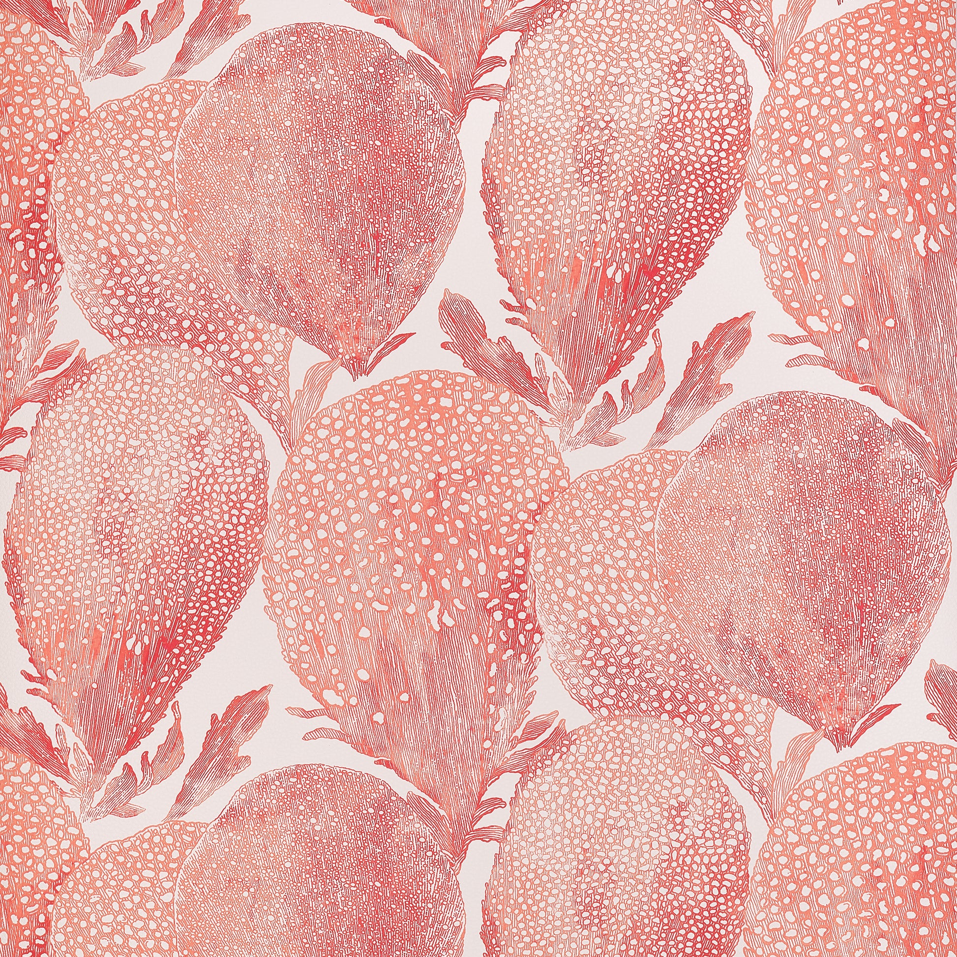 Looking For Thibaut Wallpaper Item T15825 Pattern Name Under The Sea From The Collection Islander. 