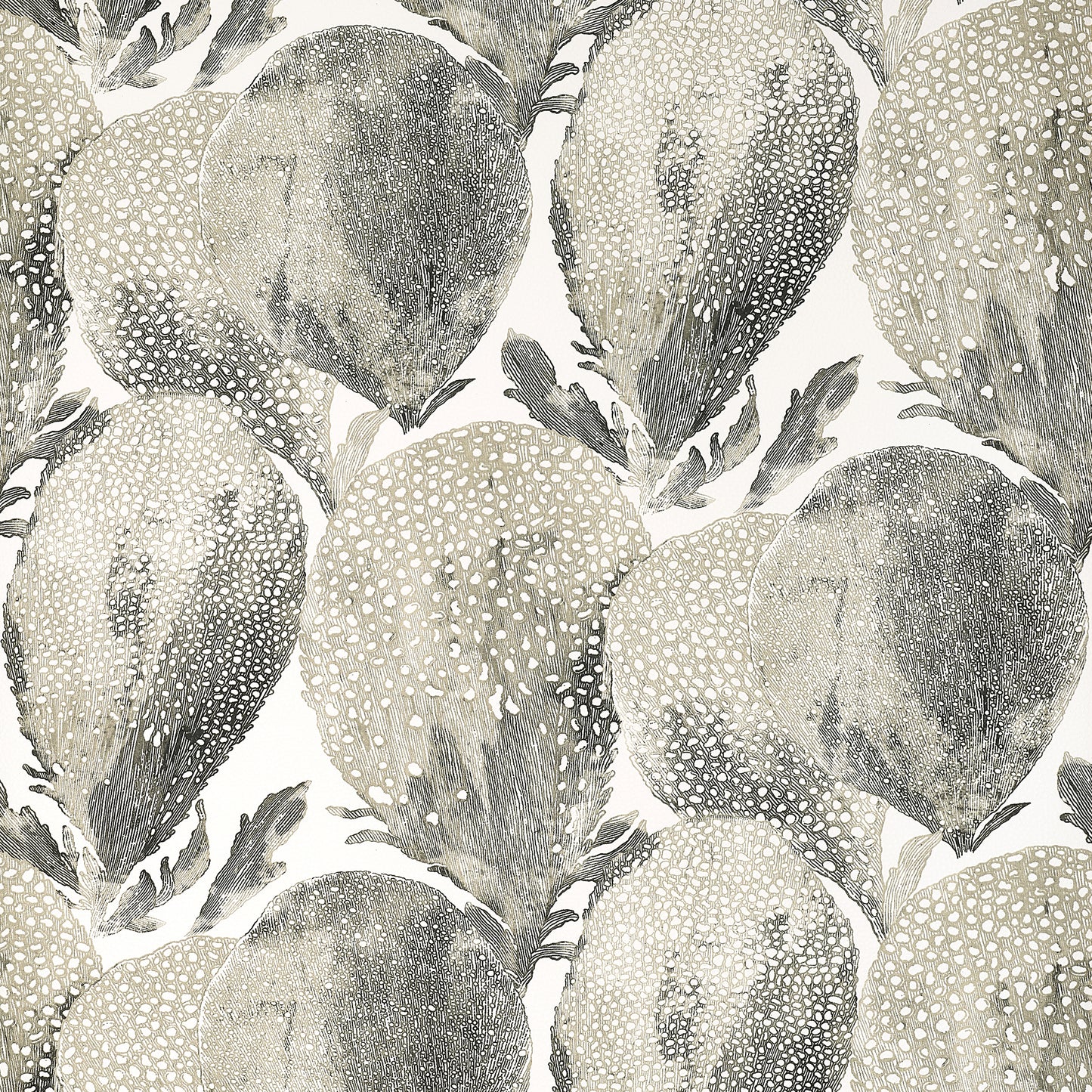 Purchase Thibaut Wallpaper Product T15826 Pattern Name Under The Sea From The Collection Islander. 