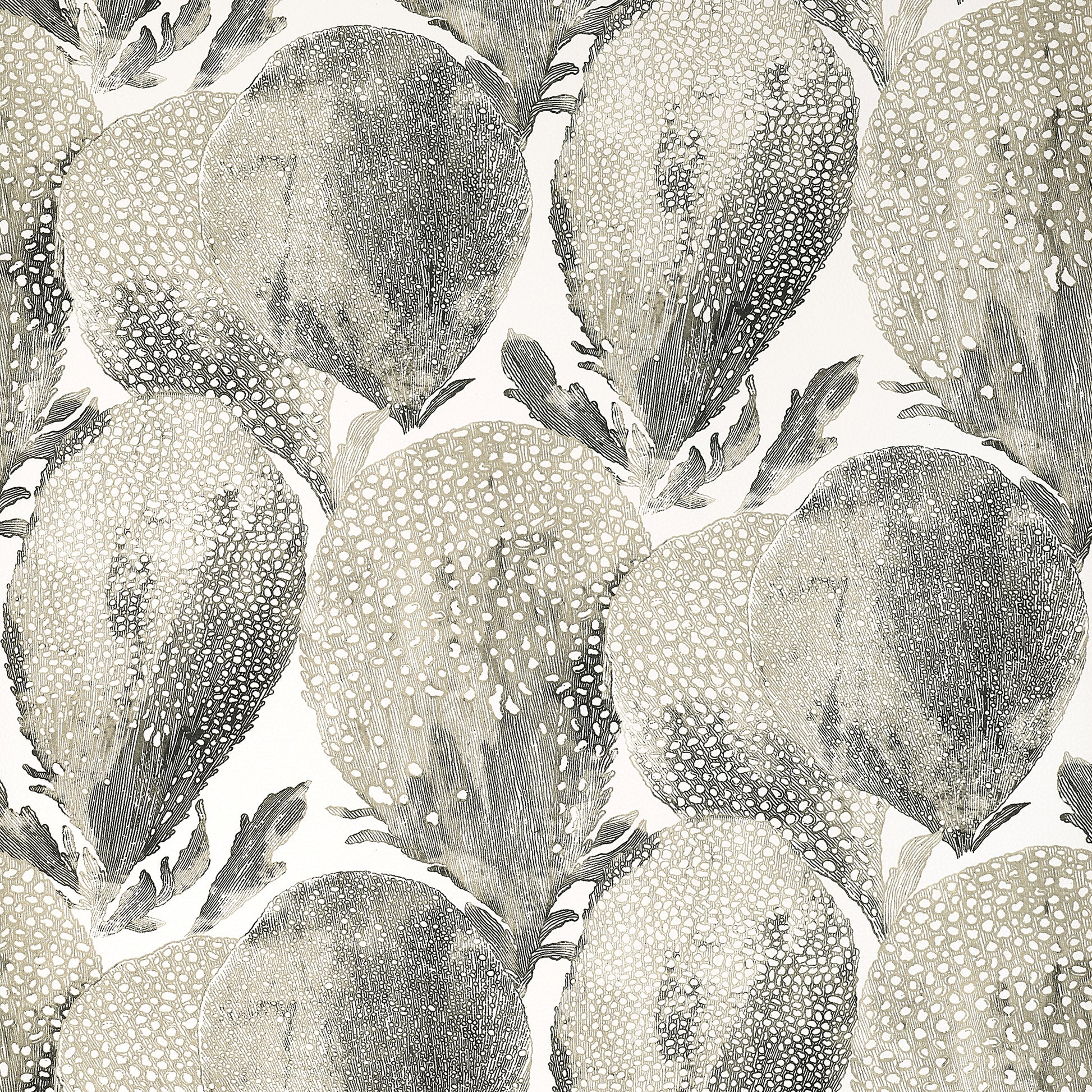 Purchase Thibaut Wallpaper Product T15826 Pattern Name Under The Sea From The Collection Islander. 