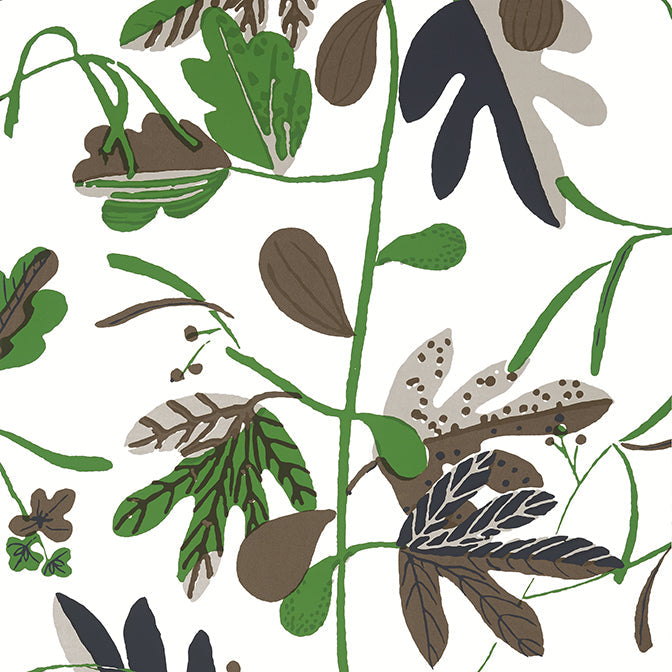 Purchase a sample of T16208 Matisse Leaf, Kismet by Thibaut Wallpaper