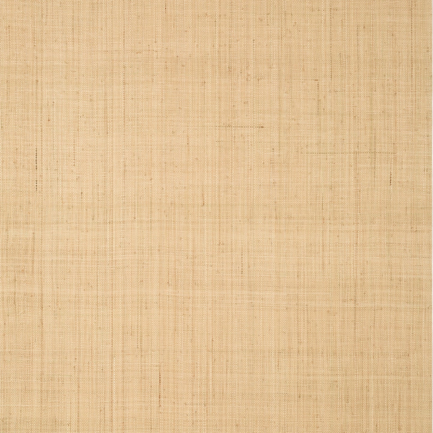 Purchase a sample of T19600 Bethany Raffia, Indienne by Thibaut Wallpaper